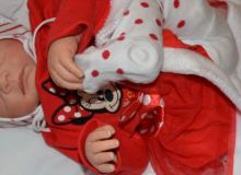 DSC 0101